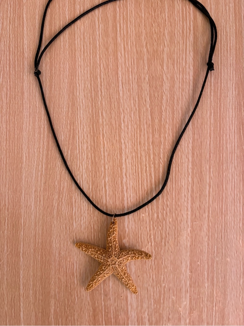 Real Starfish Pendant Necklace on Black Cord
